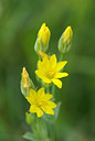 BUITEN BEELD Foto: 105455