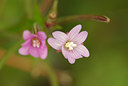 BUITEN BEELD Foto: 105543