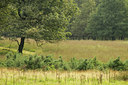 BUITEN BEELD Foto: 105587