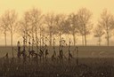 BUITEN BEELD Foto: 105659