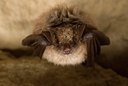 BUITEN BEELD Foto: 105753