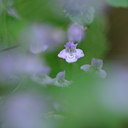BUITEN BEELD Foto: 105758