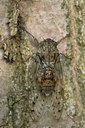 BUITEN BEELD Foto: 105809