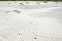 BUITEN BEELD Foto: 105847