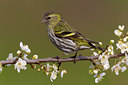 BUITEN BEELD Foto: 105937
