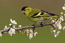 BUITEN BEELD Foto: 105947