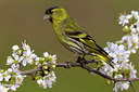 BUITEN BEELD Foto: 105950