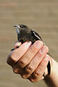 BUITEN BEELD Foto: 105990