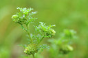 BUITEN BEELD Foto: 106023