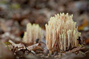 BUITEN BEELD Foto: 106163