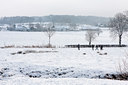 BUITEN BEELD Foto: 106192