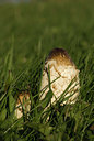 BUITEN BEELD Foto: 106202