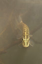 BUITEN BEELD Foto: 106285