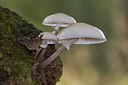 BUITEN BEELD Foto: 106359