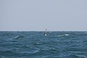 BUITEN BEELD Foto: 106403