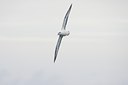 BUITEN BEELD Foto: 106425
