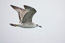 BUITEN BEELD Foto: 106432