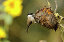 BUITEN BEELD Foto: 106473
