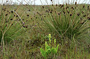 BUITEN BEELD Foto: 106649
