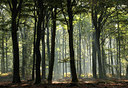 BUITEN BEELD Foto: 106678