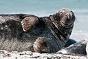 BUITEN BEELD Foto: 106694
