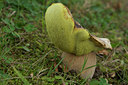 BUITEN BEELD Foto: 106734