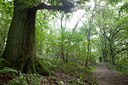 BUITEN BEELD Foto: 106779