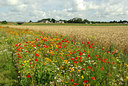 BUITEN BEELD Foto: 106855