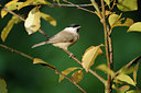 BUITEN BEELD Foto: 106858