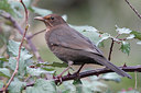 BUITEN BEELD Foto: 107010