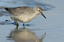 BUITEN BEELD Foto: 107016