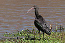 BUITEN BEELD Foto: 107138