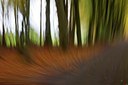 BUITEN BEELD Foto: 107306