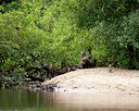 BUITEN BEELD Foto: 107331