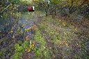 BUITEN BEELD Foto: 107382