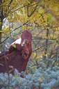 BUITEN BEELD Foto: 107387