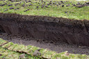 BUITEN BEELD Foto: 107415