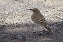 BUITEN BEELD Foto: 107472