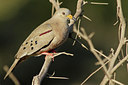 BUITEN BEELD Foto: 107473