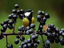 BUITEN BEELD Foto: 107540