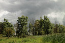 BUITEN BEELD Foto: 107651