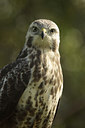 BUITEN BEELD Foto: 107655