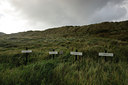BUITEN BEELD Foto: 107675
