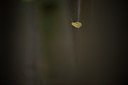 BUITEN BEELD Foto: 107695