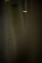 BUITEN BEELD Foto: 107696