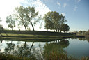 BUITEN BEELD Foto: 107714