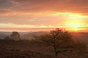 BUITEN BEELD Foto: 107731