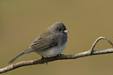 BUITEN BEELD Foto: 107751