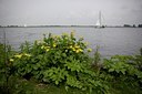 BUITEN BEELD Foto: 107759