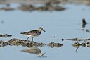 BUITEN BEELD Foto: 107856